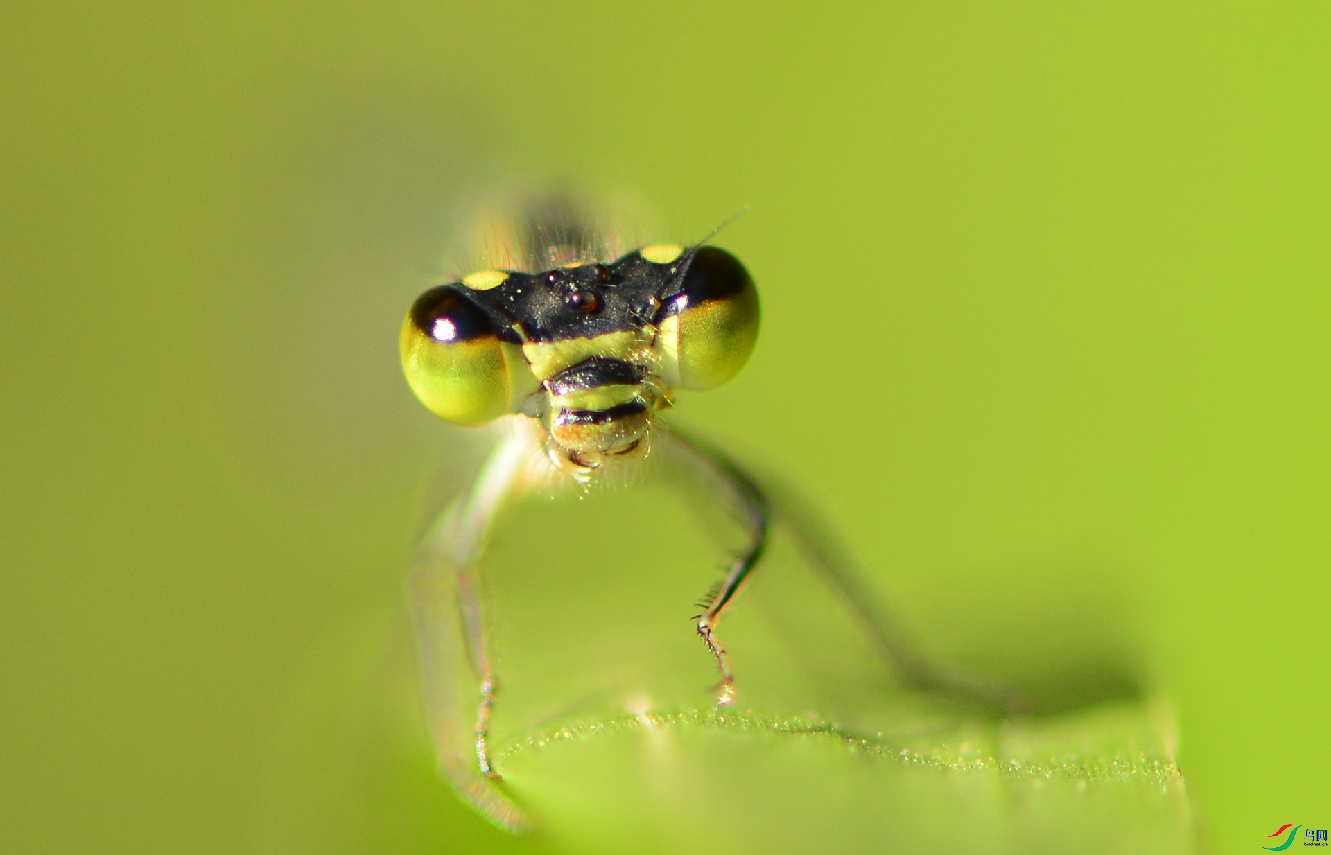 ������Ӱ 396����.jpg