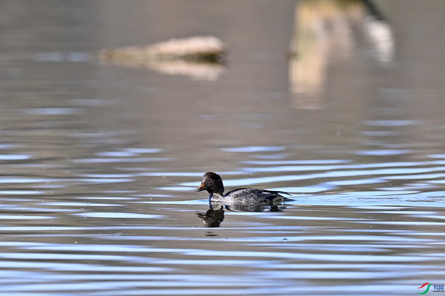 DSC_5883.jpg