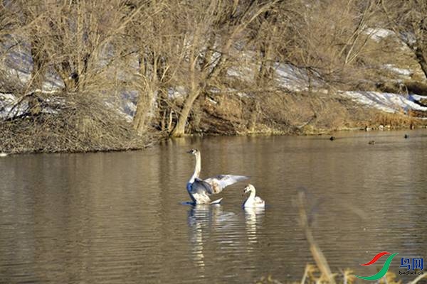 File0000079332.jpg