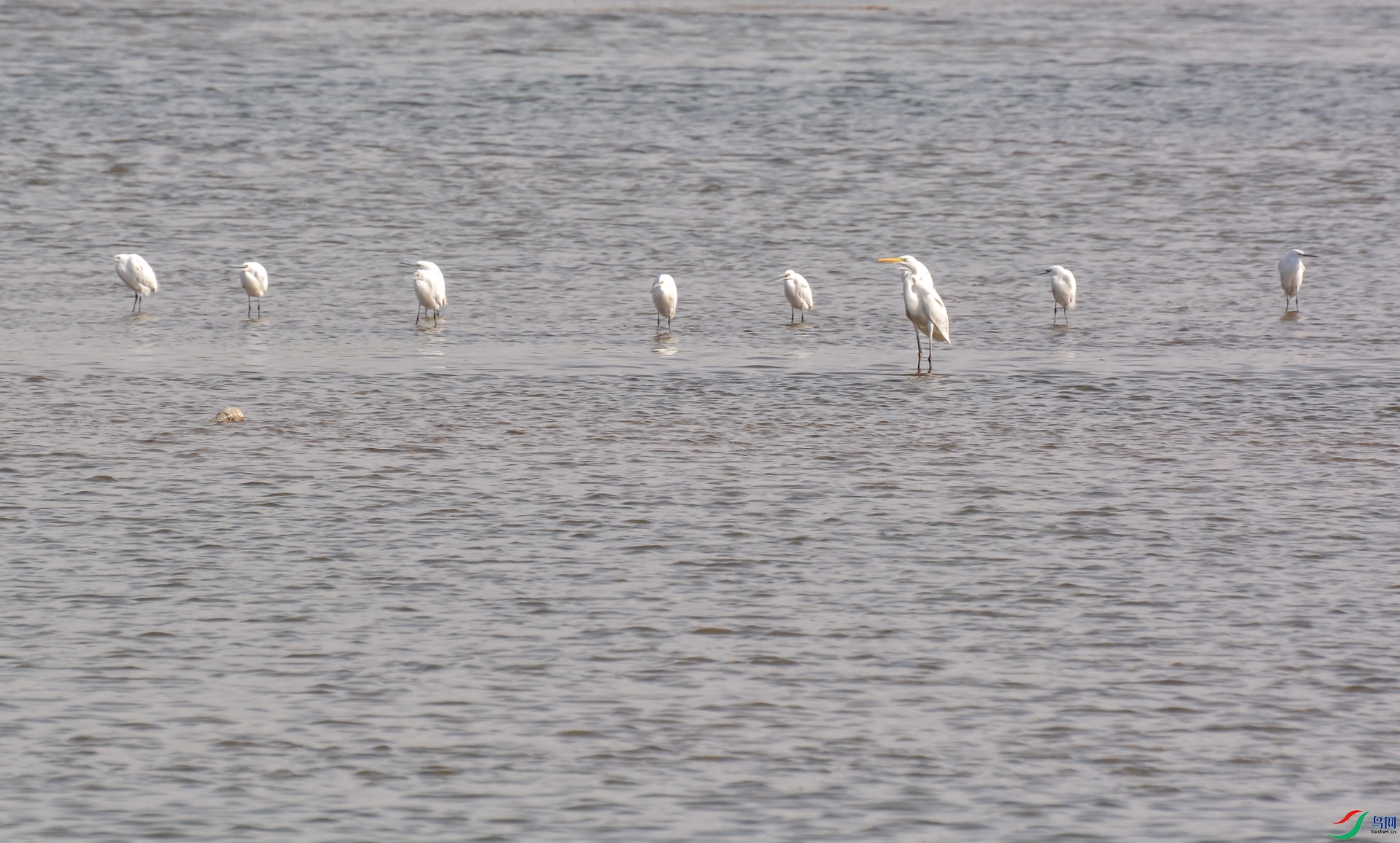 DSC_2872.jpg