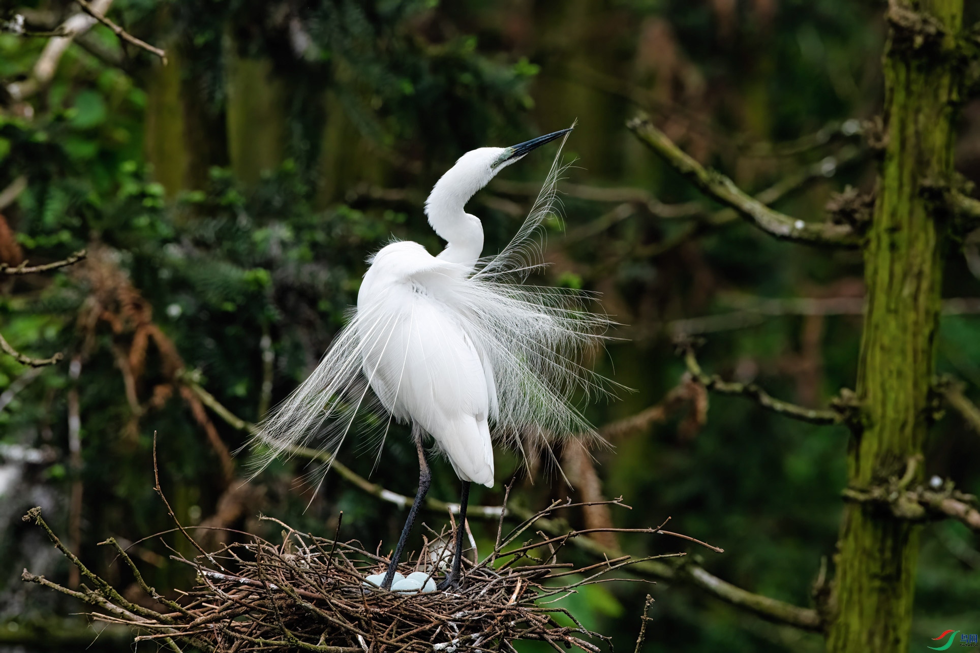 DSC_7530-1-2.jpg