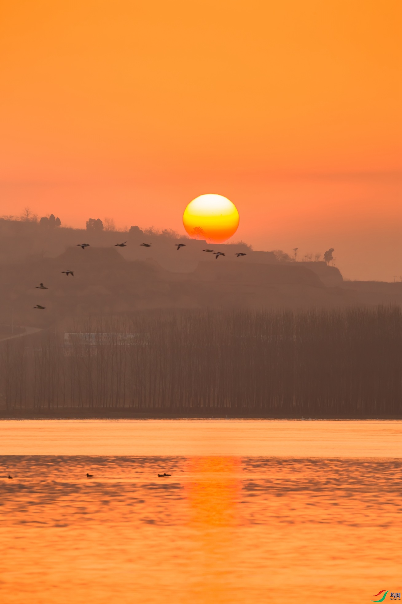 当太阳升起的时候
