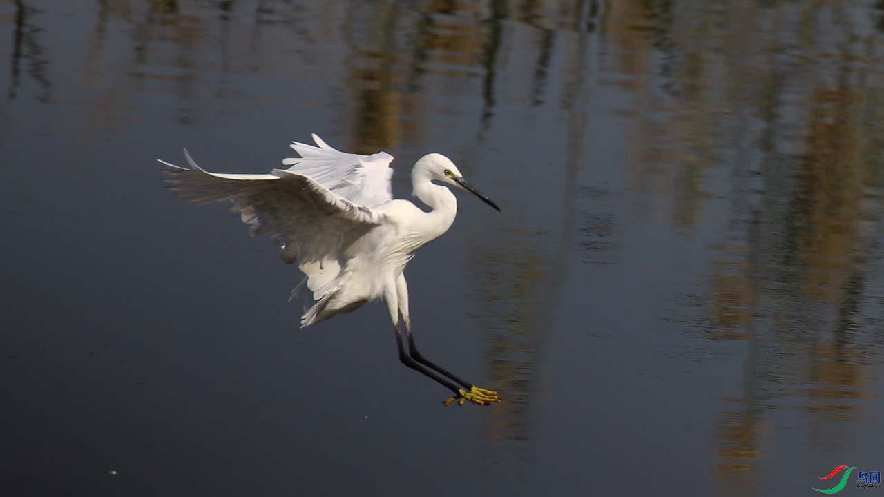 IMG_7015.JPG