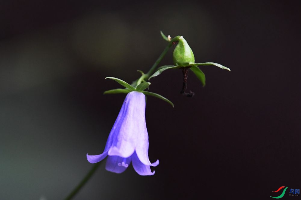 DSC_4042_����.jpg
