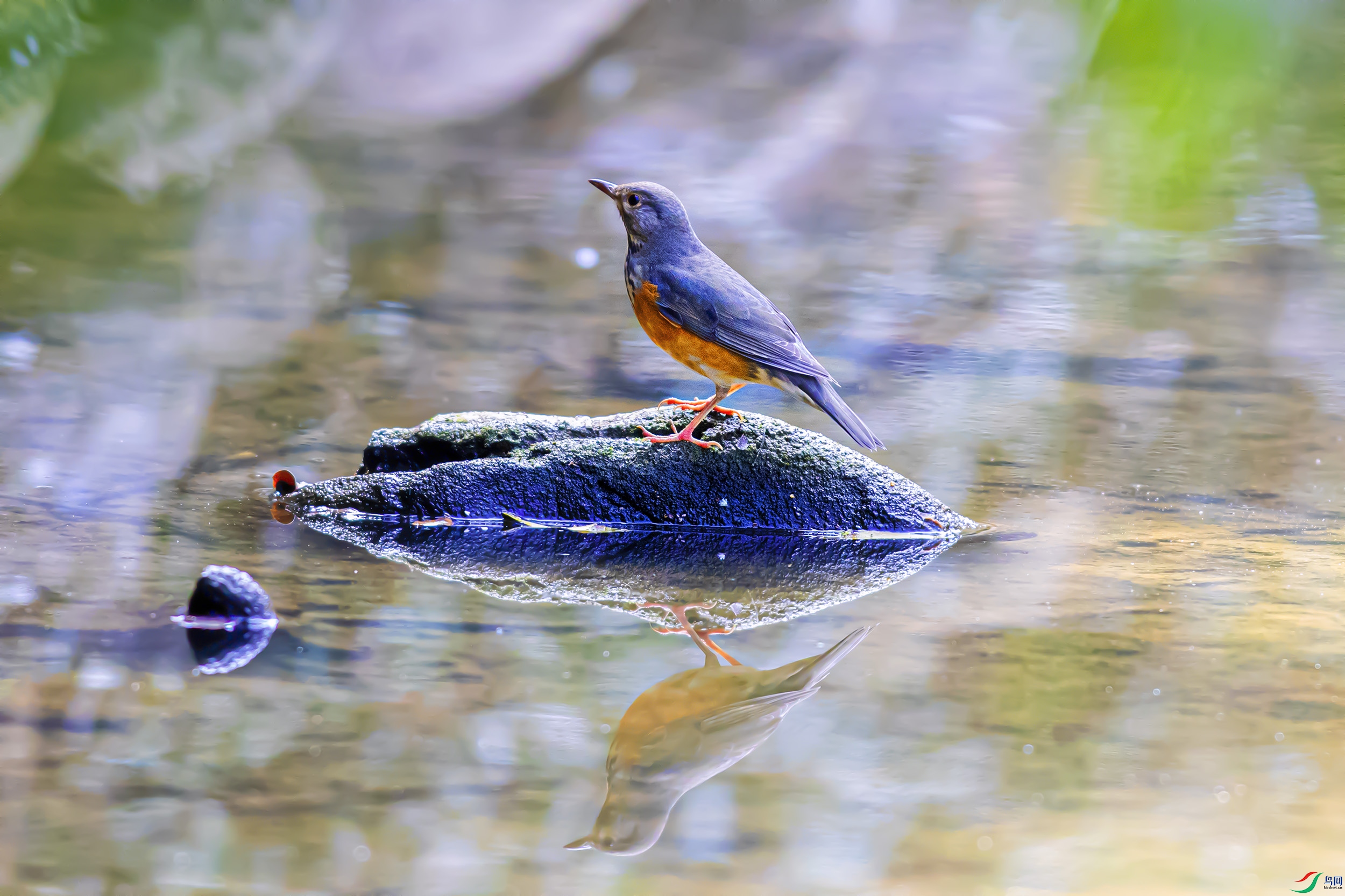 _S7I8630--1 �ұ��.jpg