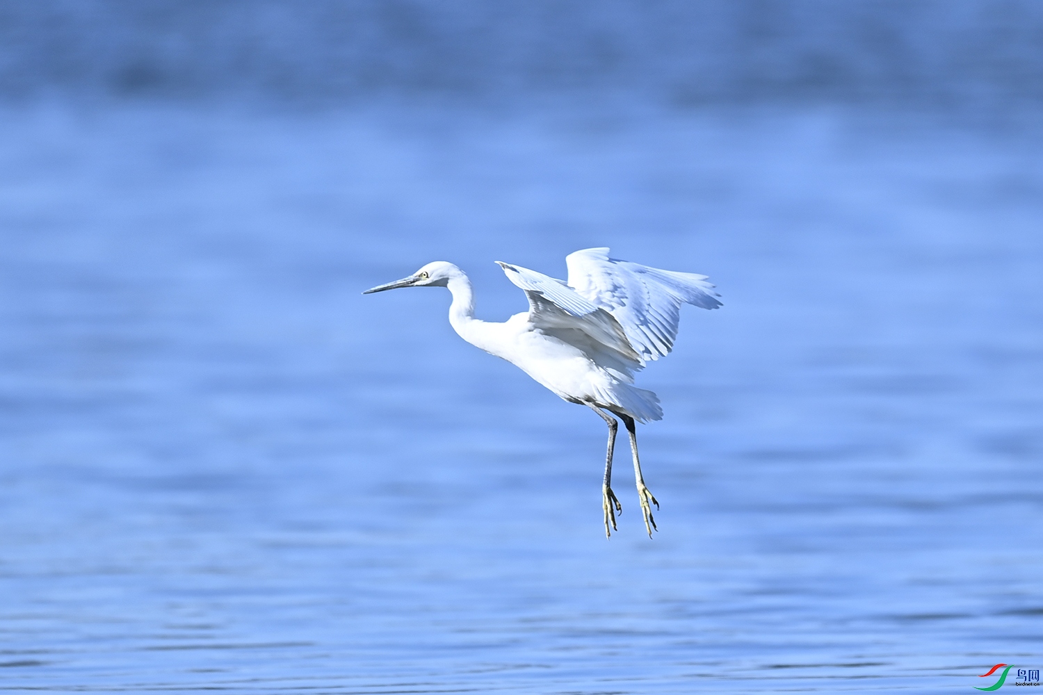 DSC_5416.jpg
