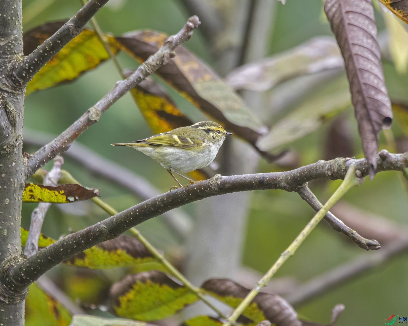 DSC_8461.jpg