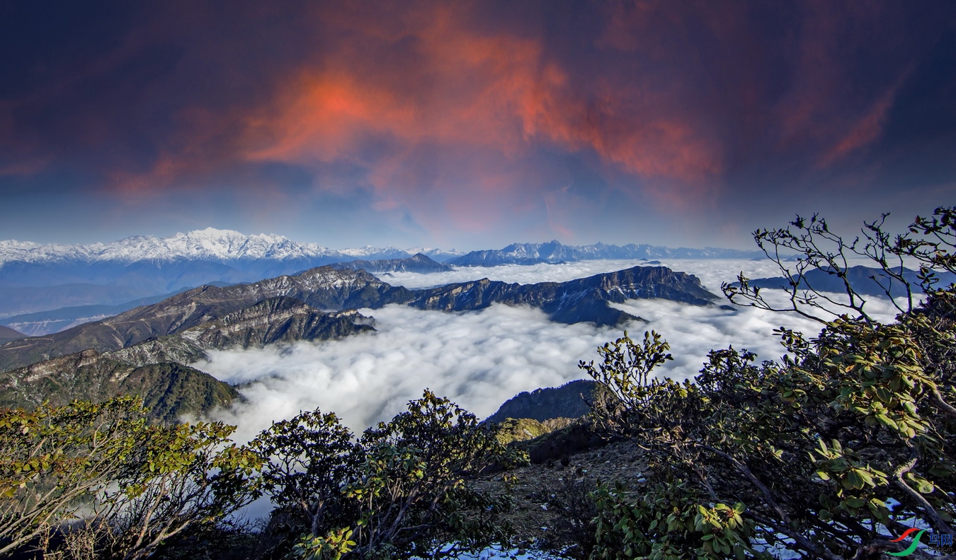 ����ţ��ɽ (19)-3-1.jpg