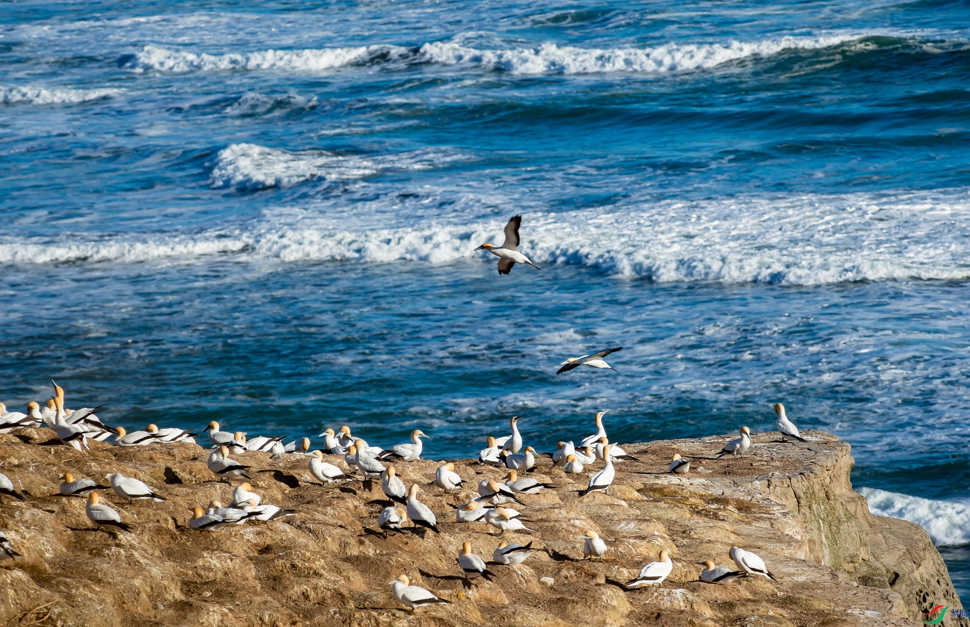 DSC_1273.jpg