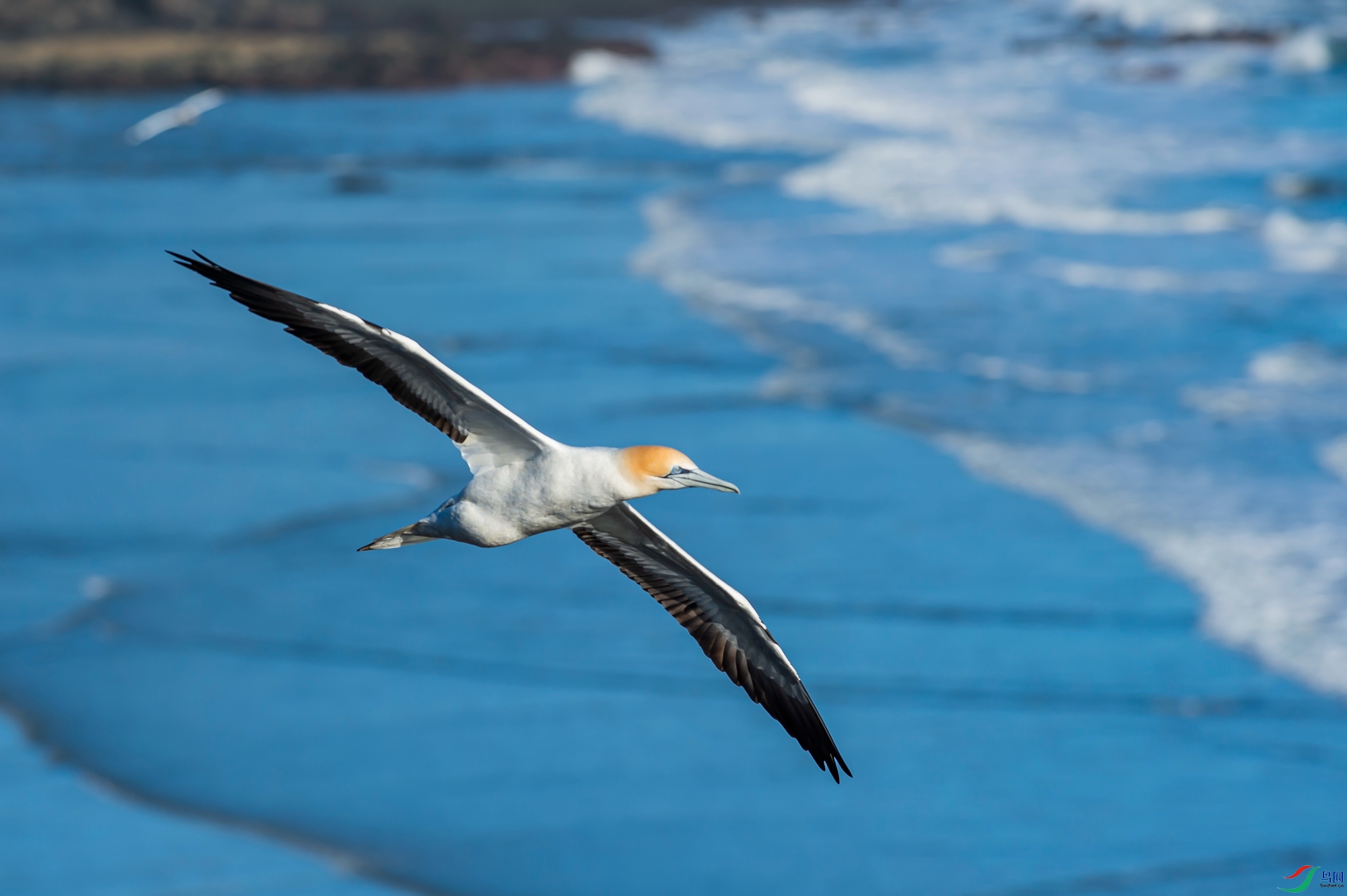 DSC_1312.jpg