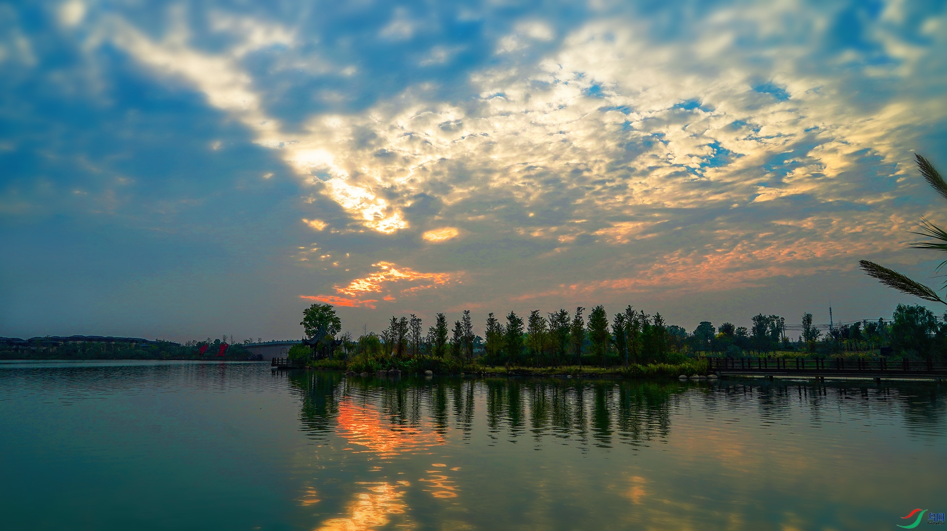 DSC08008-��.jpg