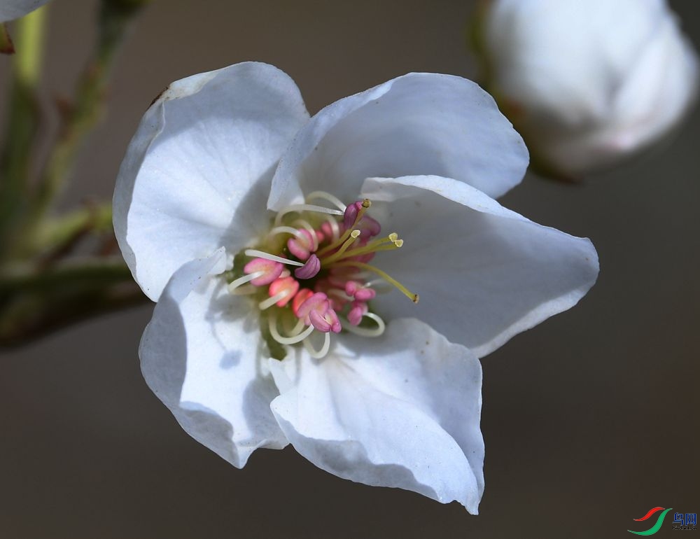 DSC_3977_����.jpg