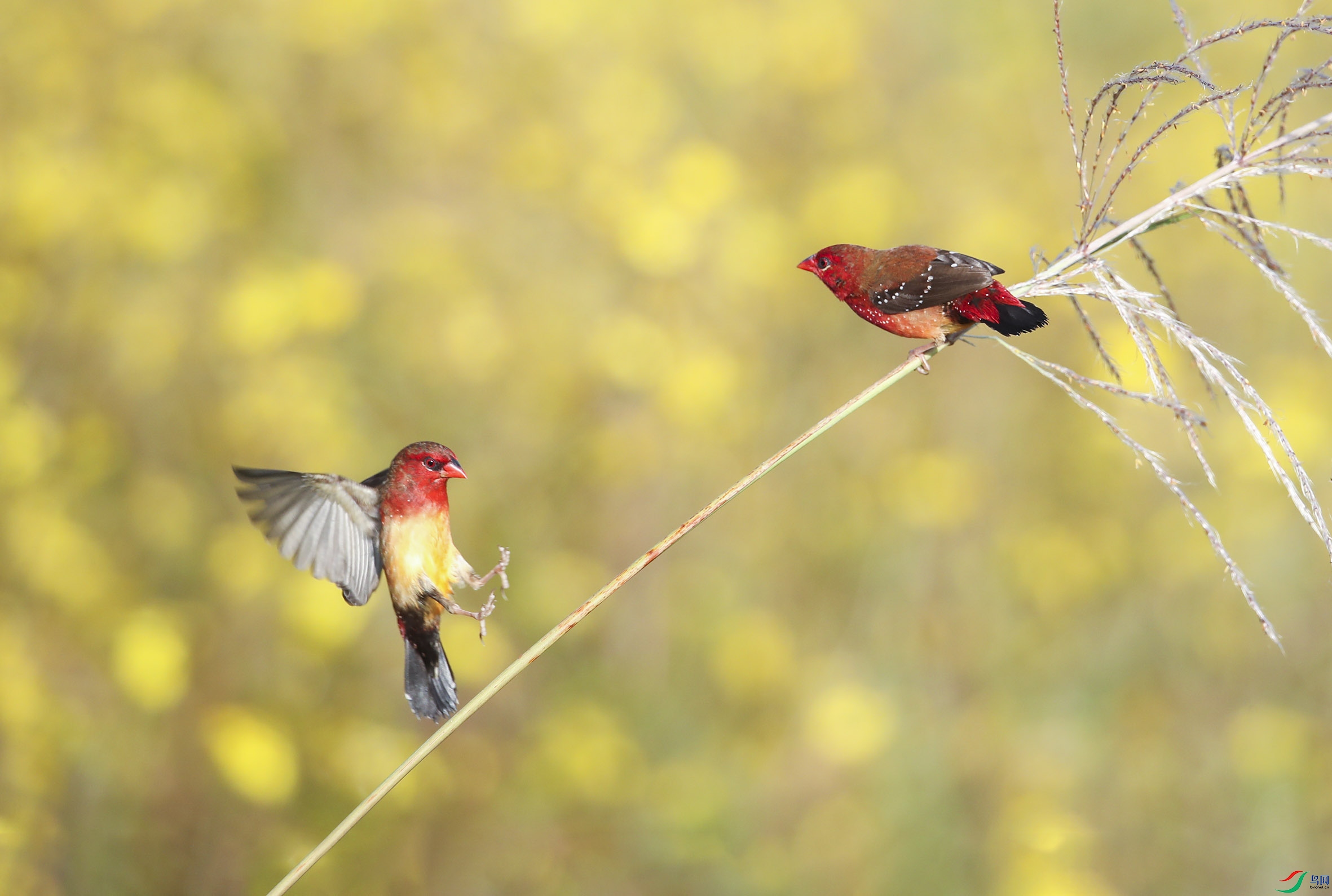 BT1I0229��jp�� (4).jpg