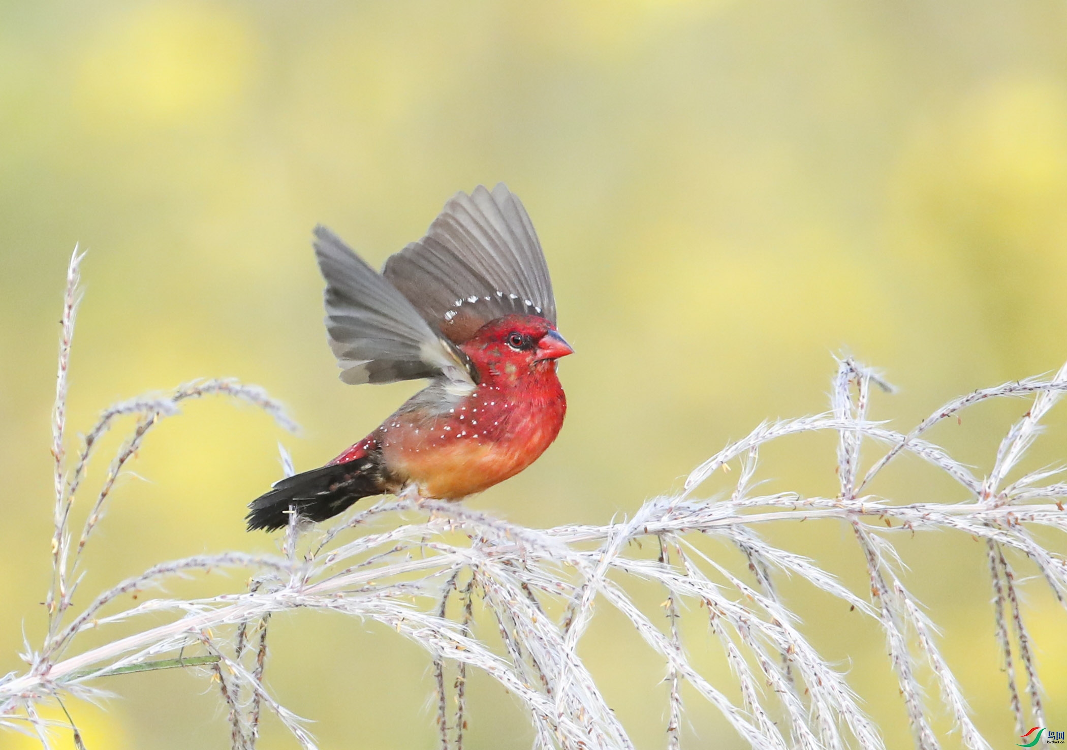 BT1I0229��jp�� (9).jpg