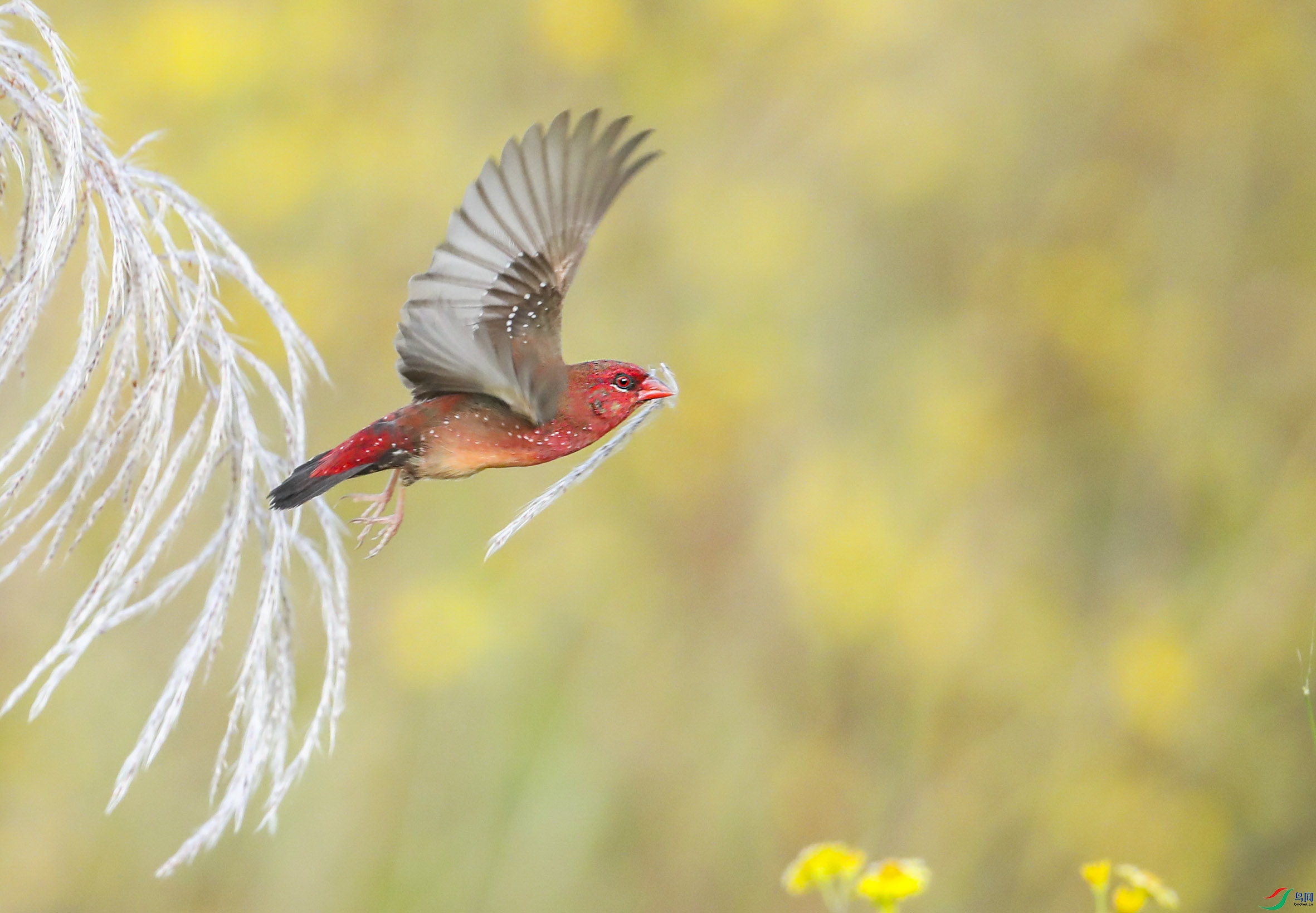 BT1I0229��jp�� (12).jpg