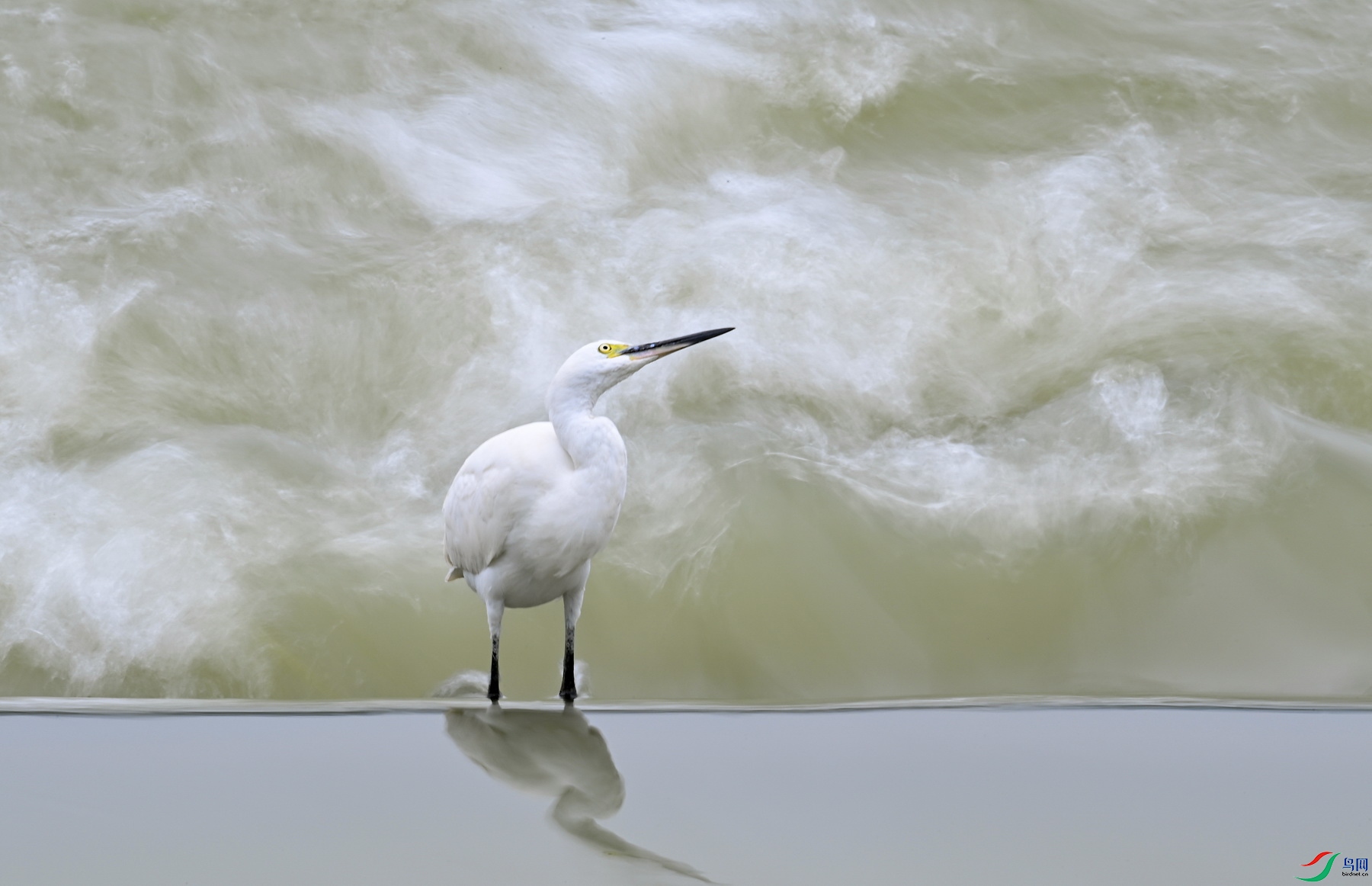 DSC_7645.JPG