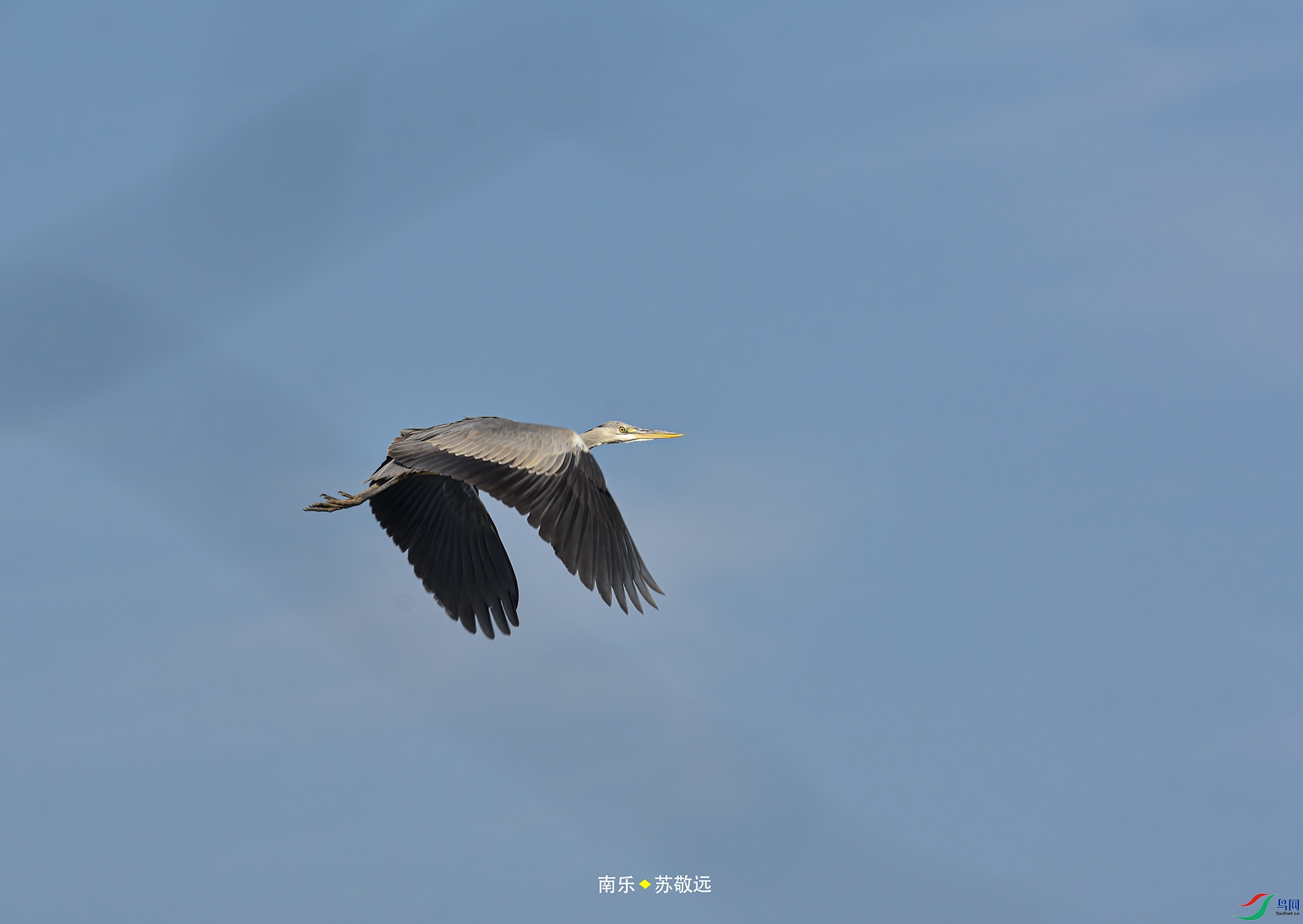 _DSC7378С.jpg