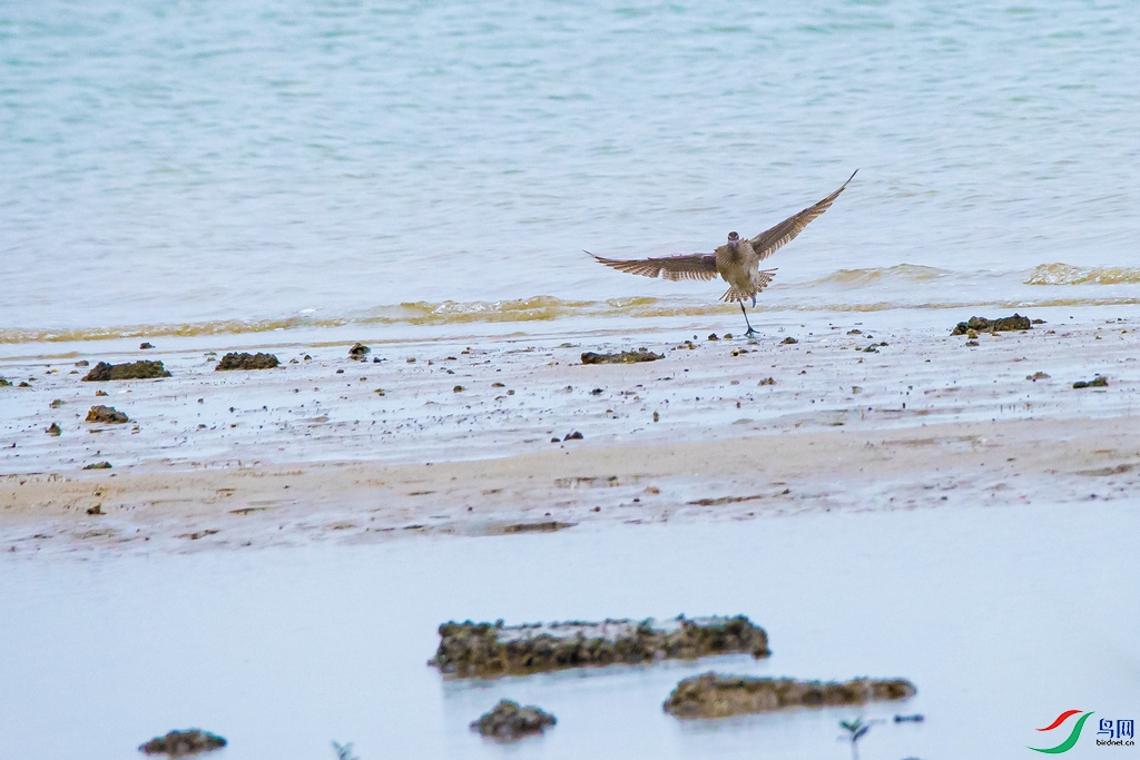 DSC_7089a.jpg