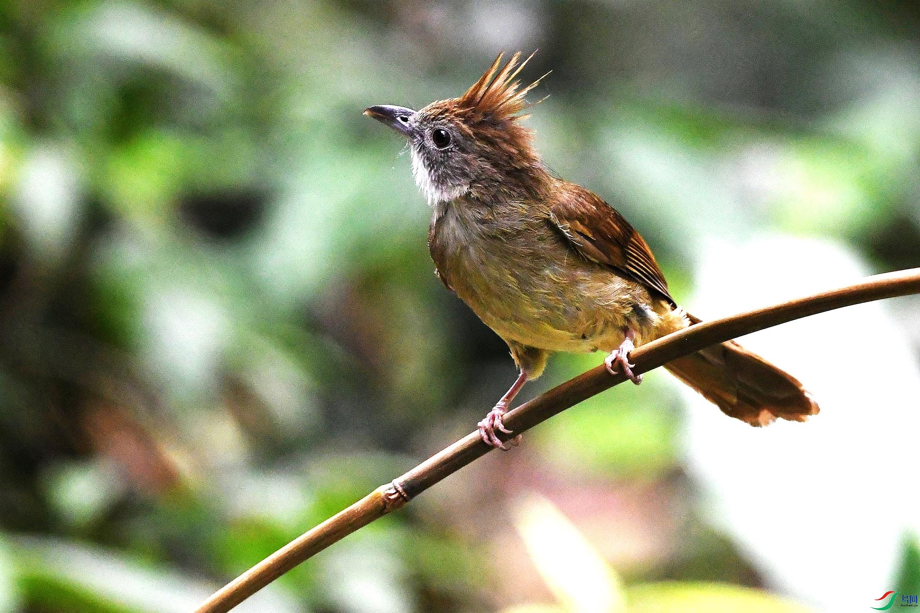 NIKON D5001207_����.jpg