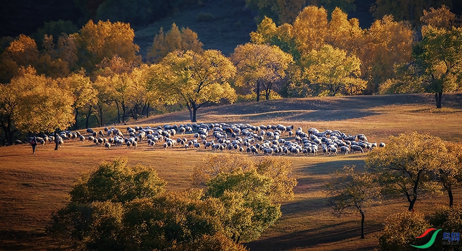 ���������ɹ�������ͳ��