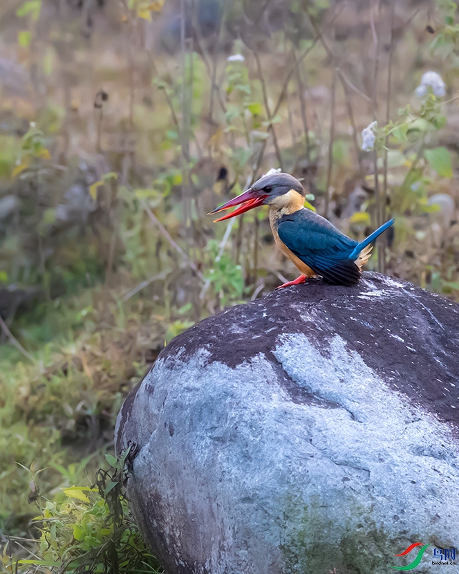 �������