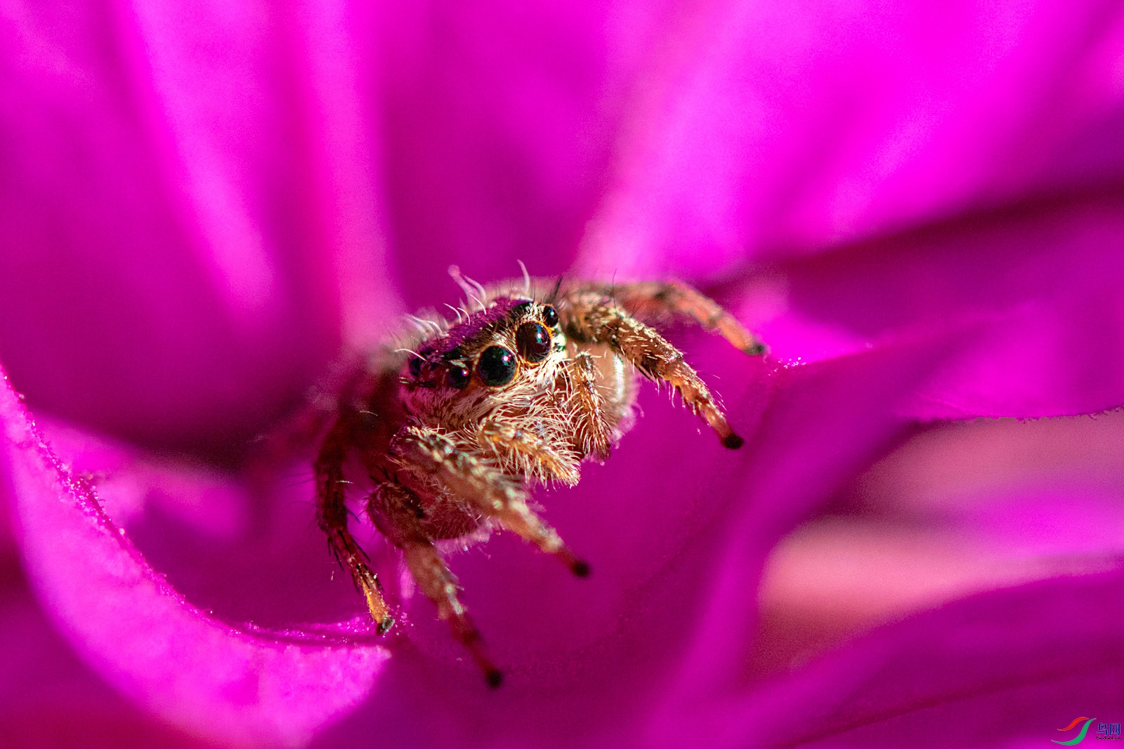 DSC_8006.jpg