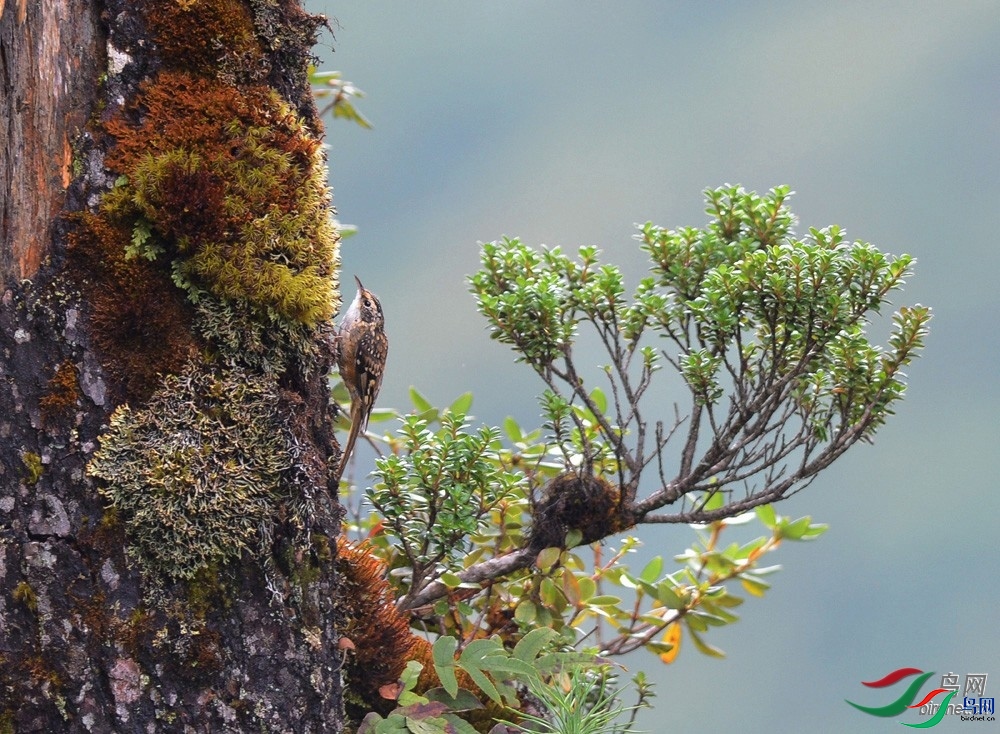 ����ϸ��  ��ʦ����.jpg