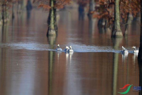 _DSC6693.jpg
