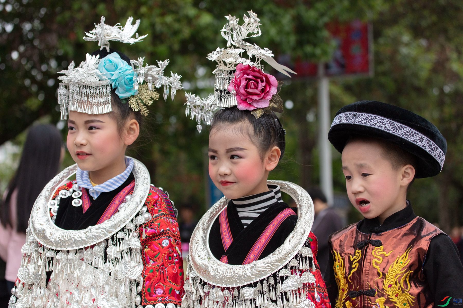 ��ý���С����