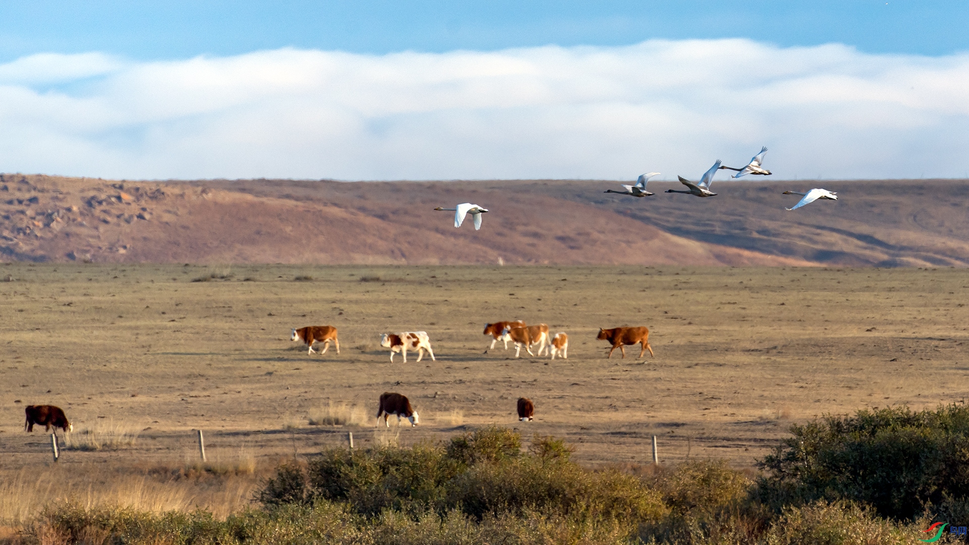 _DSC1604С.jpg