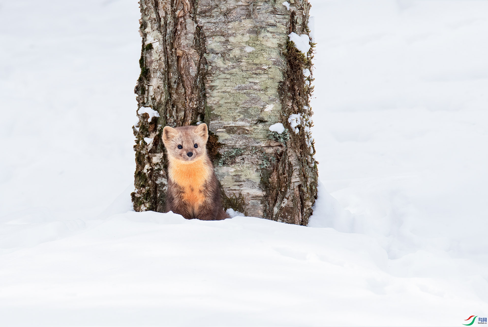DSC_3420.jpg
