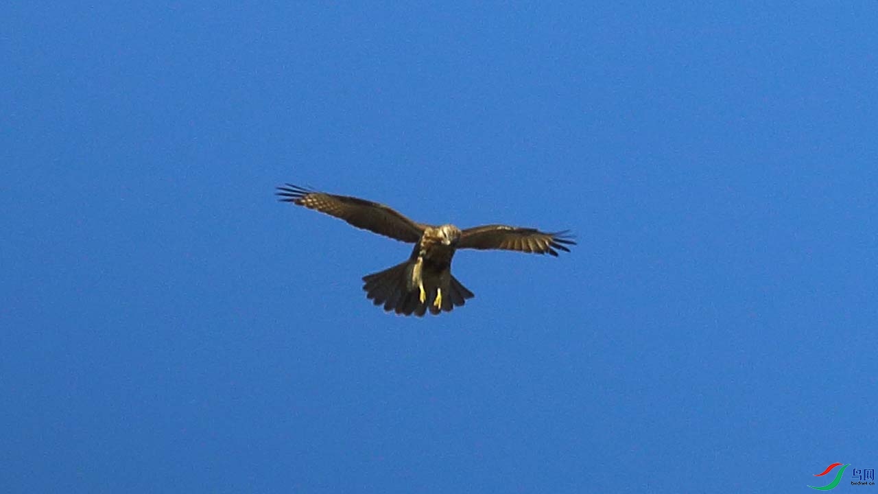 IMG_7098.JPG