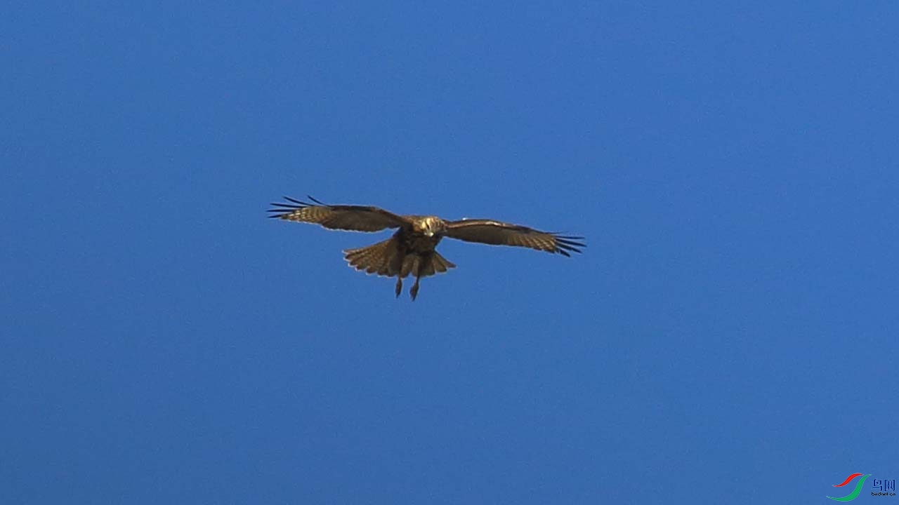 IMG_7099.JPG