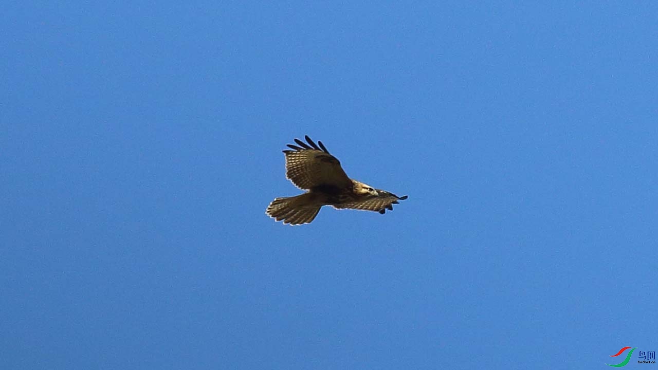 IMG_7091.JPG
