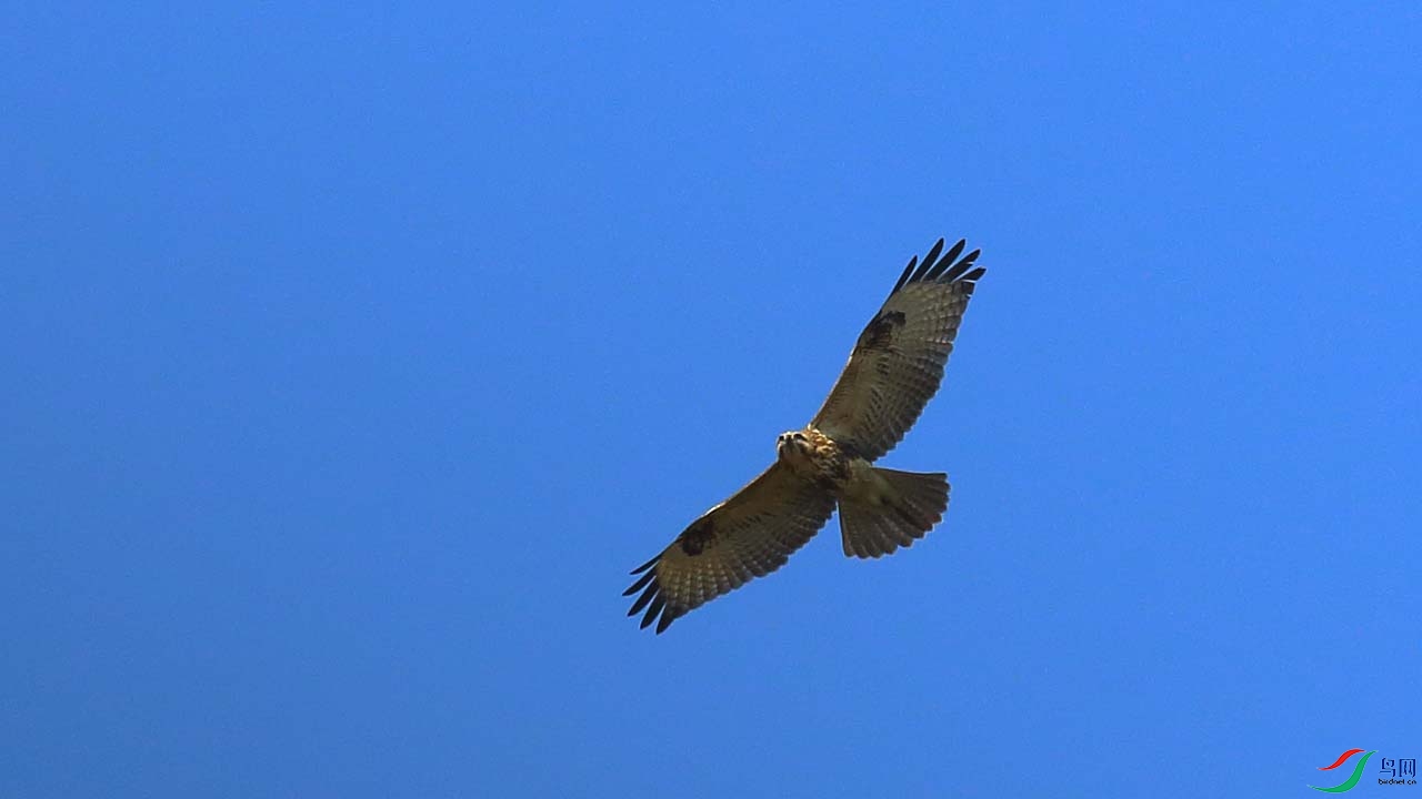 IMG_7089.JPG