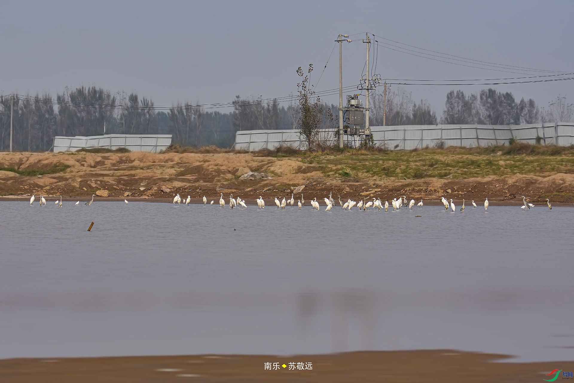 _DSC7834С.jpg