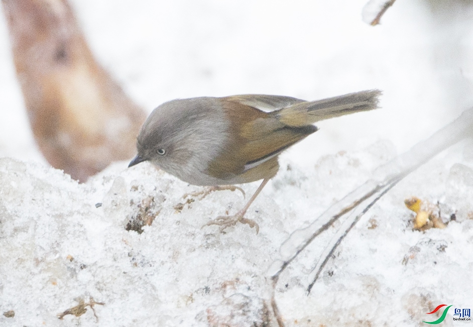 CS3U7244����.jpg