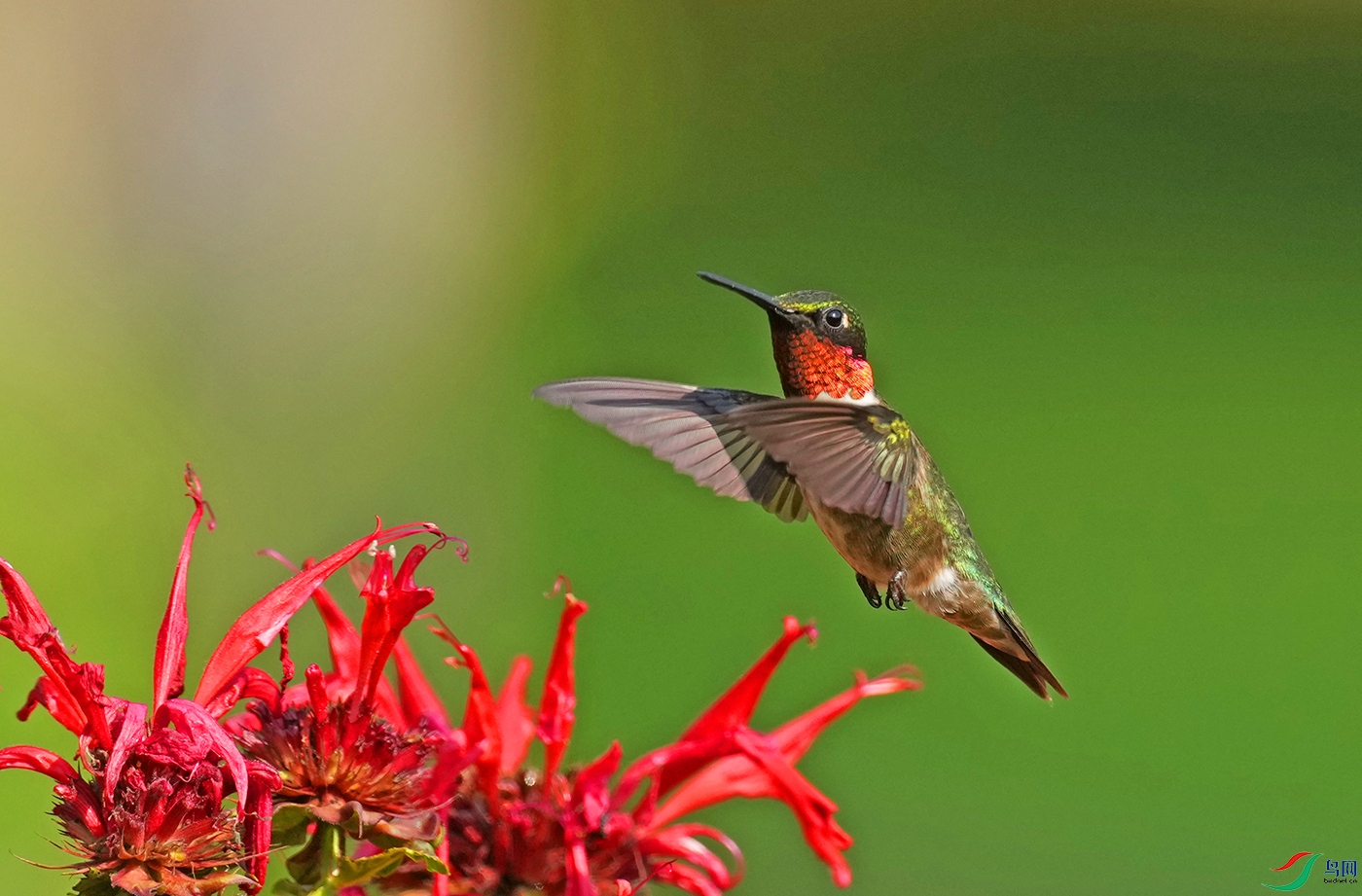 DSD02459----.jpg