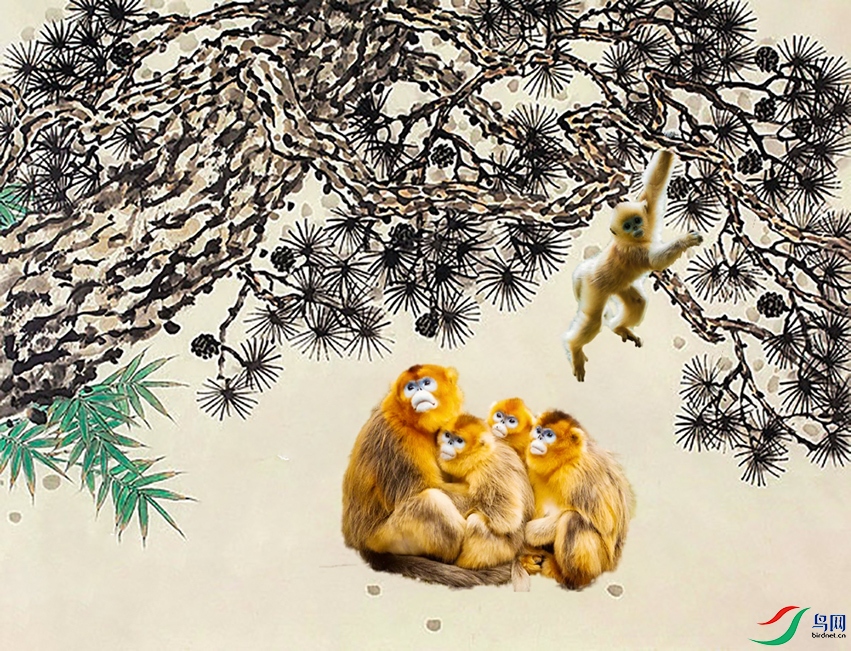 3243532.jpg