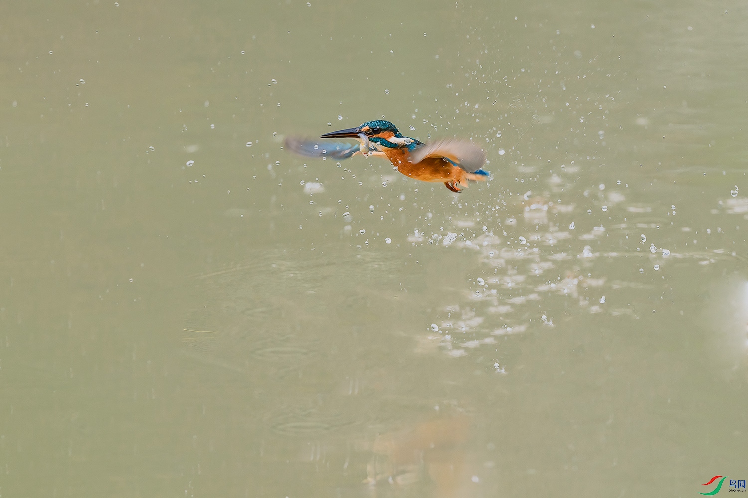 DSC_7506-2.jpg