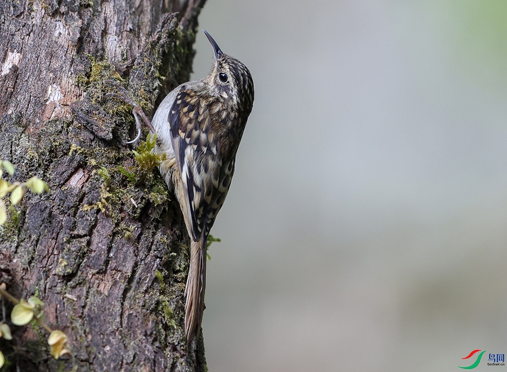 ��������  ��ʦ����������ʡ��ɽ���ڳ���.jpg