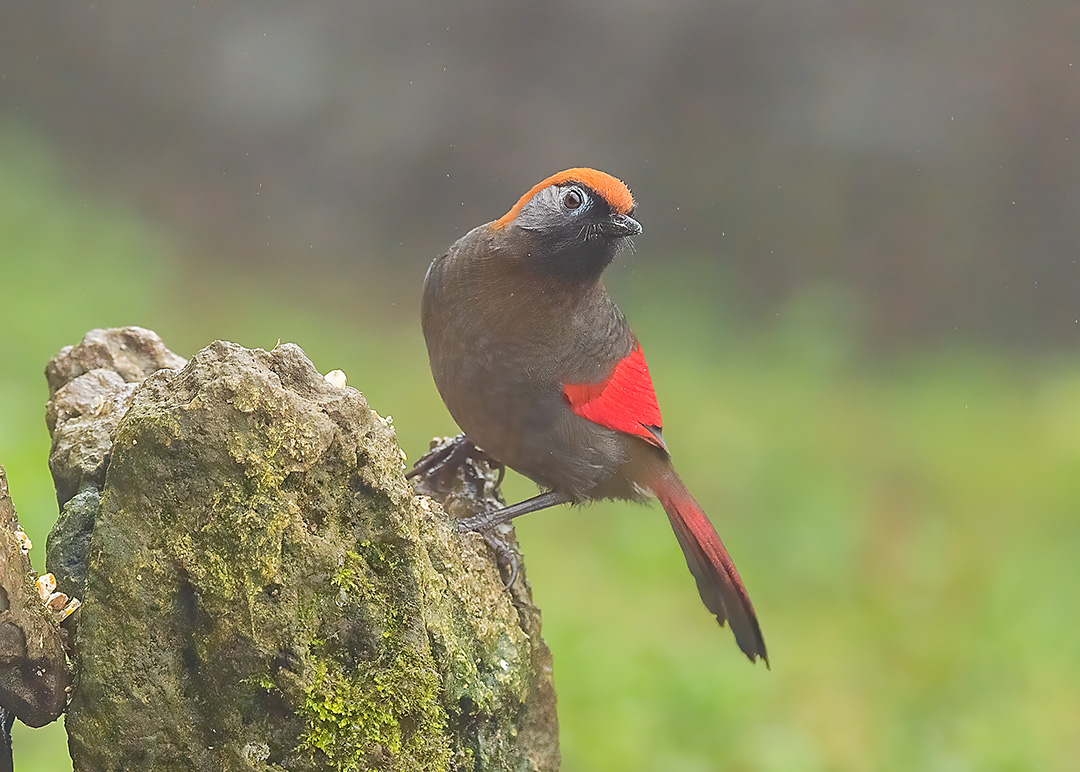 D5W_7504-1.jpg