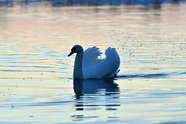 File0000079314 - ����.jpg