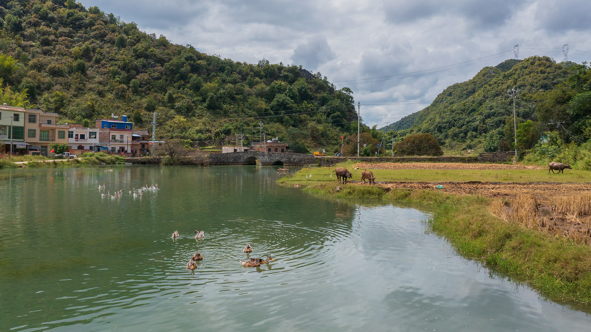 DJI_0779.jpg