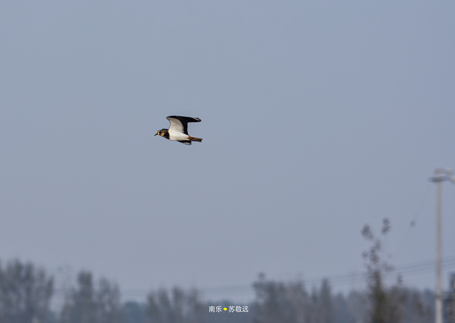 _DSC7780С.jpg