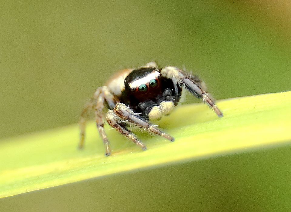 0E8A5512.JPG