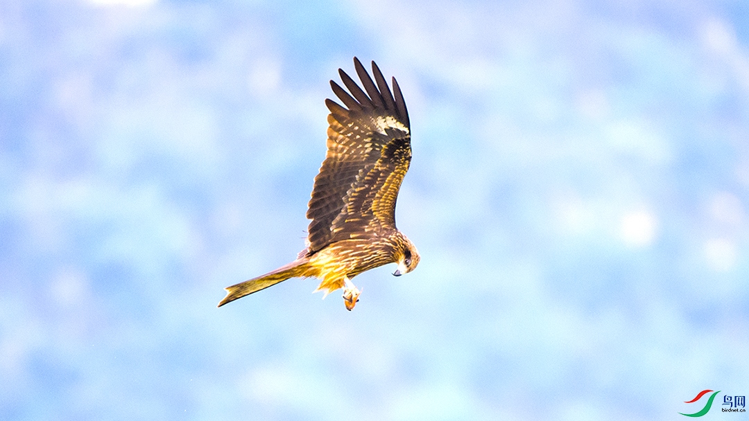 ��LPY_3074.jpg