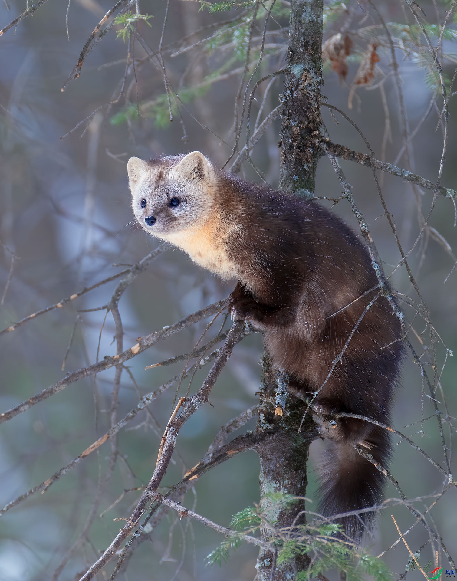 DSC_4624.jpg