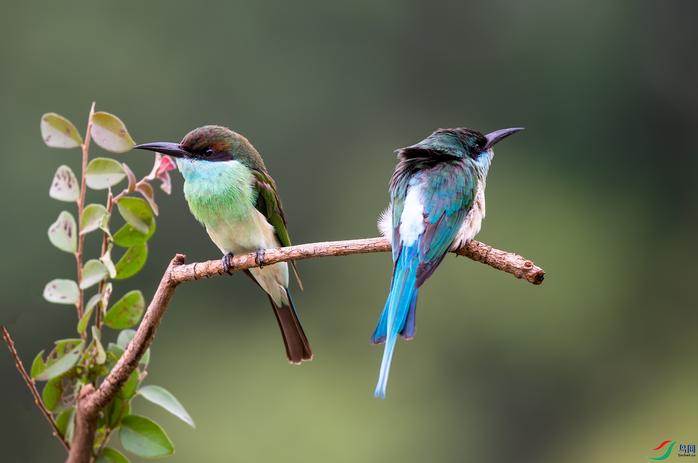 DSC_0144.jpg