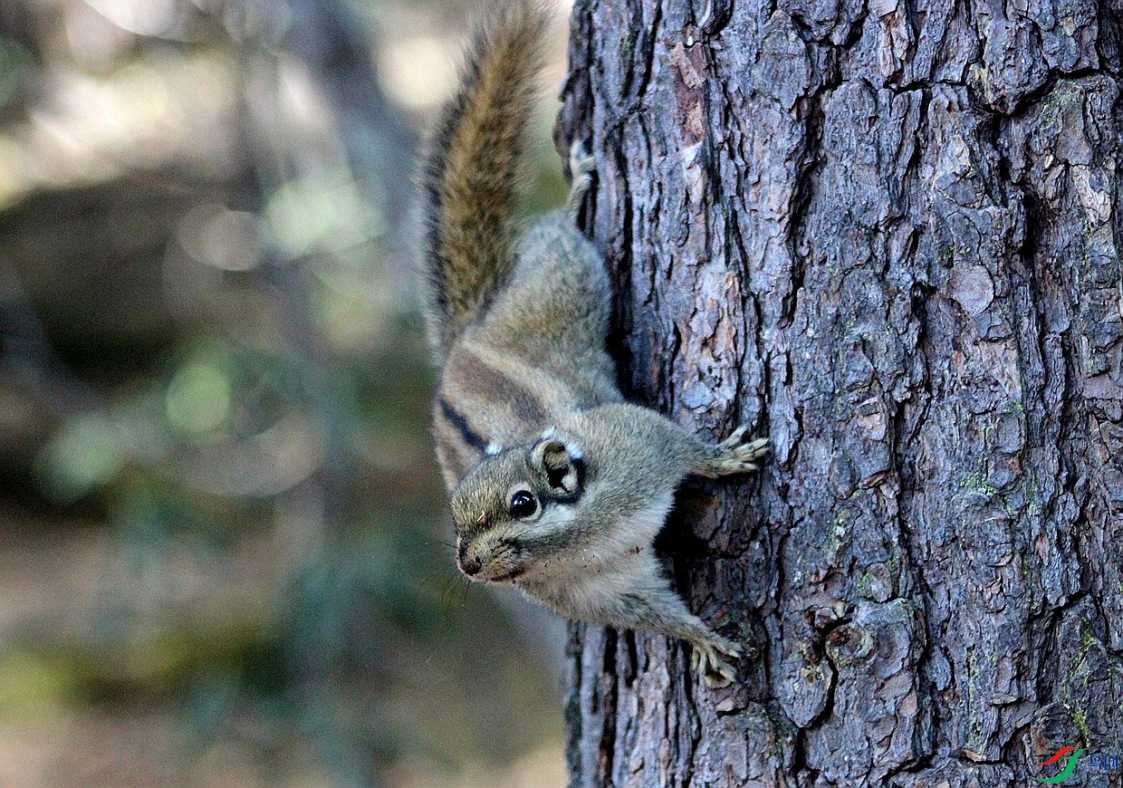 IMG_0559.jpg